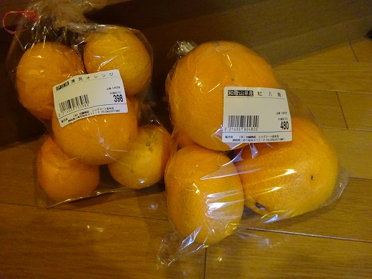 20190428柑橘
